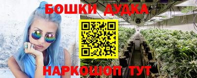 Альфа ПВП Новозыбков