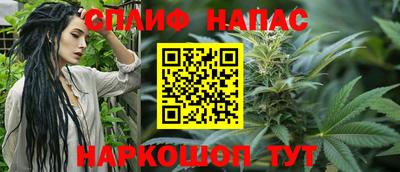 Альфа ПВП Новозыбков