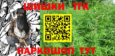 Альфа ПВП Новозыбков