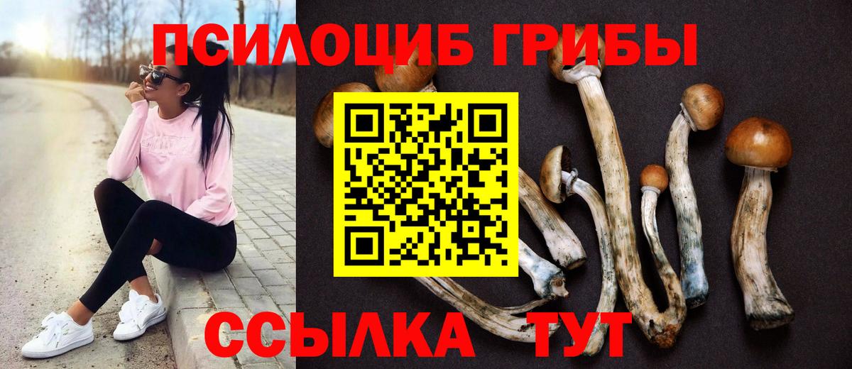 Галлюциногенные грибы ЛСД  Вход с VPN  купить  сайты  Сердобск  Псилоцибиновые грибы Psilocybe 