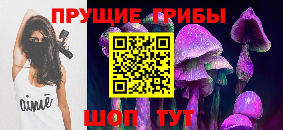 Псилоцибиновые грибы прущие грибы Сердобск